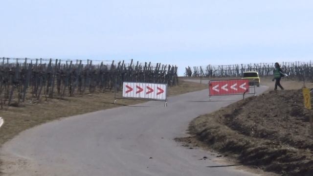 Schneerosen Rallye 2019 Martin GRUBER-Eva KOLLMANN смотреть онлайн