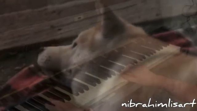 Hachi: A Dog’s Tale theme song - Goodbye (piano cover by Nigar Ibrahimli) смотреть онлайн