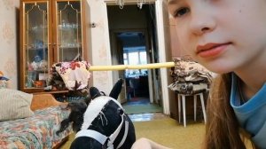 Вызов-принят/хоббихорсинг