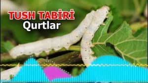 ТУШДА КУРТЛАРНИ КУРСА - Tushda qurtlarni ko'rish