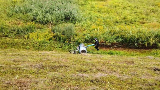 Покос камыша Brielmaier