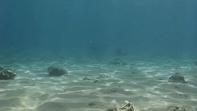 Красное море смотреть онлайн