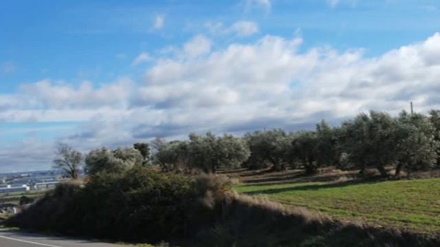 ABRAÇA'M BEN FORT VIDA 041209 смотреть онлайн