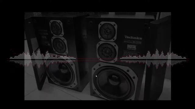 Technics SB-CD 700 Sound-tripping смотреть онлайн