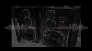 Technics SB-CD 700 Sound-tripping