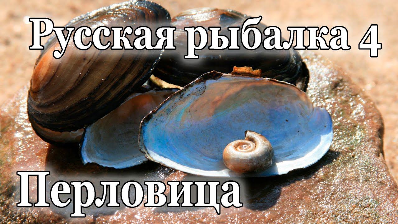 Русская рыбалка 4 Перловица Вьюнок смотреть онлайн
