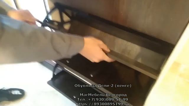 Обувница Дели-2 (венге\дуб молочный) Стендмебель смотреть онлайн