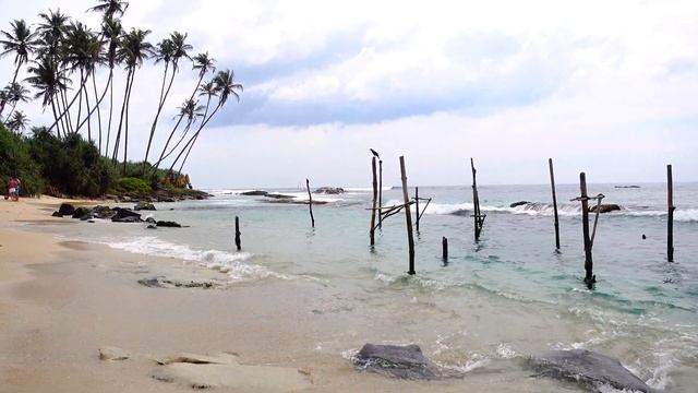 Главная достопримечательность Шри-Ланки! Рыбаки на палках =-) Рыбалка с берега с палок! смотреть онлайн