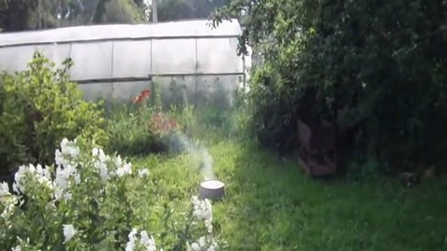 Корсар 12 смотреть онлайн