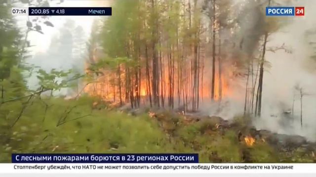 Россия 24, Москва, 10 июля 2024
Природные пожары в регионах РФ смотреть онлайн