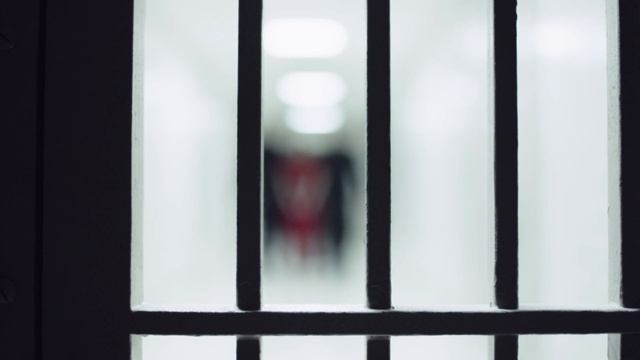 The Beauty Of The Handmaid's Tale