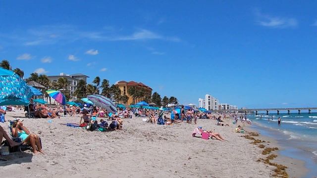 Deerfield Beach Florida 2021 смотреть онлайн