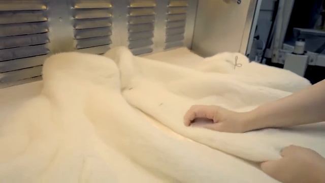 Холодильник для шуб, меха, дубленок смотреть онлайн