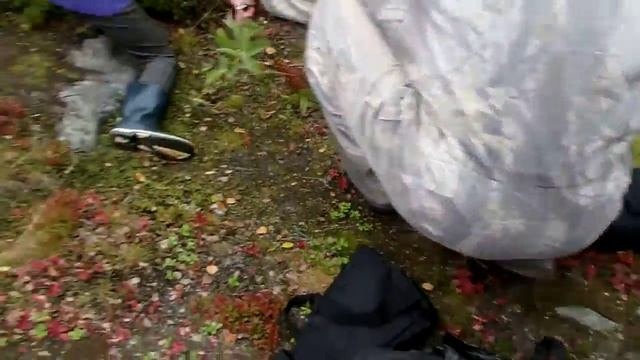 Устанавливаем первую палатку в походе. Кёкусинкай Карате. Клуб - Тэнгу Про. Мурманск смотреть онлайн