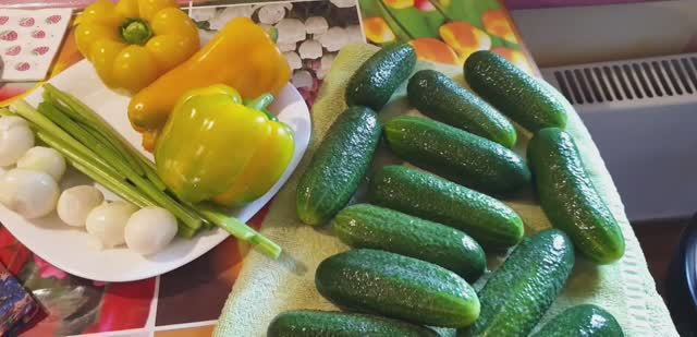 Татьяна Попова