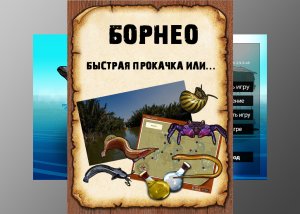 Борнео рр3. Быстрая прокачка рр3 или как оно всё есть на самом деле.