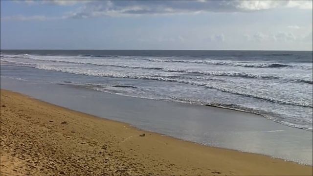 Looking For The Summer