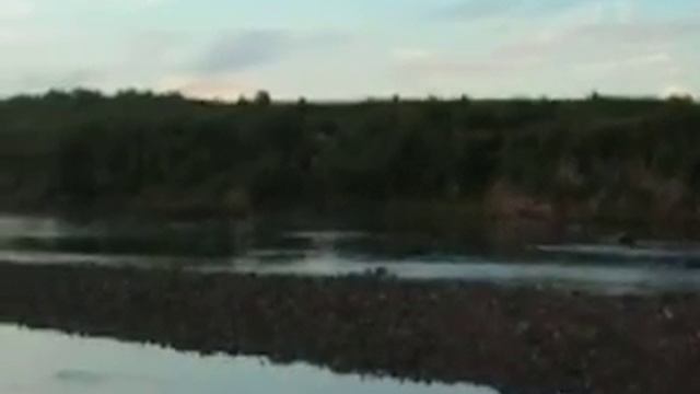 МТЛБ через реку Сосновка смотреть онлайн