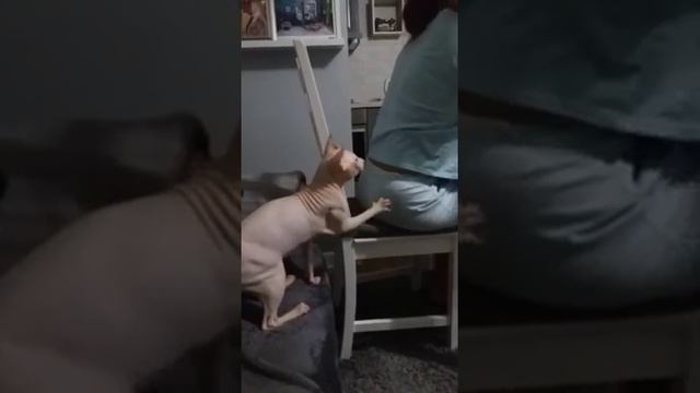 Маня пристает смотреть онлайн