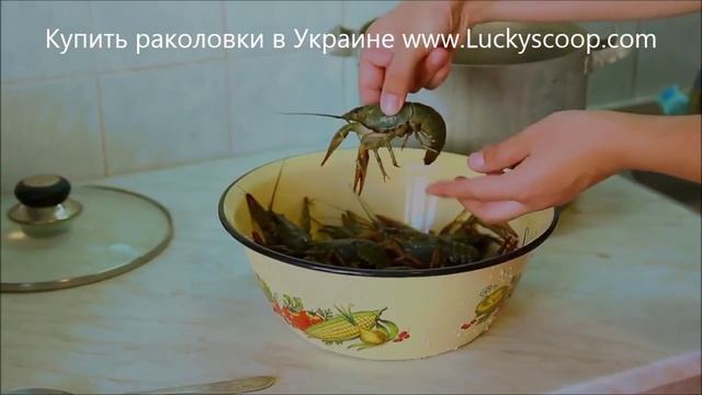 Видео рецепт как приготовить вкусных раков смотреть онлайн