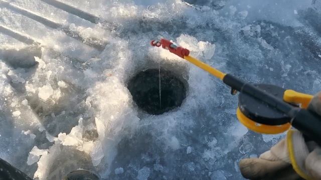 Рыбалка на Братском водохранилище. 19.12.20 смотреть онлайн