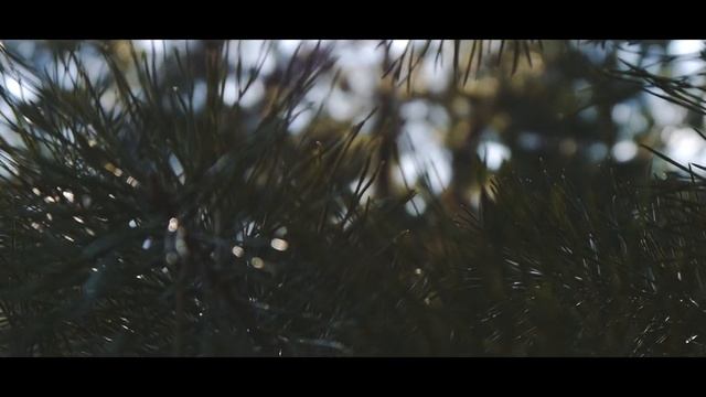 Зимняя сказка Дашеньки и Сергея | 16.01.16 смотреть онлайн