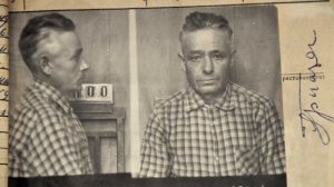 КОЛЛАБОРАЦИОНИСТЫ