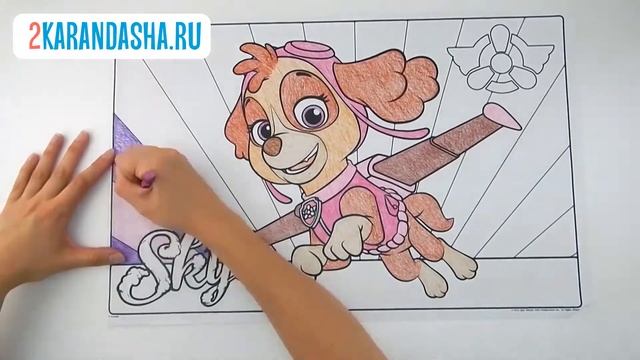 COLORING SKYE PAW PATROL COLORING BOOK PAGES for kids??? | Раскраски Щенячий Патруль Скай ??? смотреть онлайн
