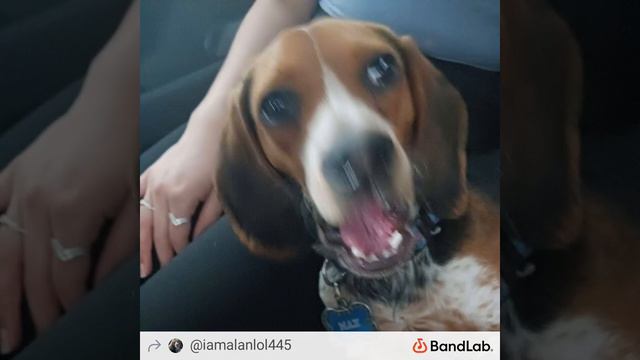 On jamamadon смотреть онлайн