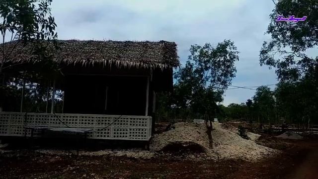 Филиппины. Шаг за шагом. Часть 5.6. Стройка. Новый этап: бамбуковые домики. смотреть онлайн