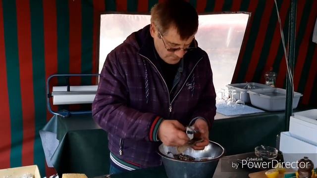 Устрицы в Брюсселе и РЫБНЫЙ РЕСТОРАН Noordzee Mer du Nord с RusLanaSolo смотреть онлайн