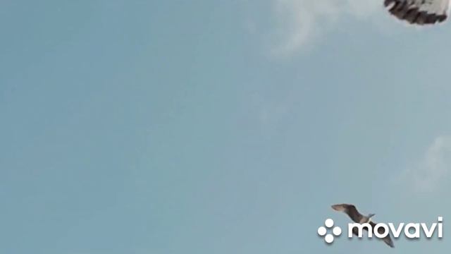 Пение птиц/Birdsong