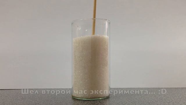 Полный контакт смотреть онлайн