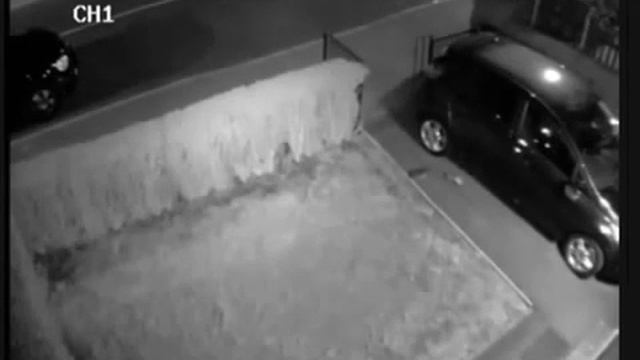 Записи камер видеонаблюдения из 80-летний Имонн Durcan грабят