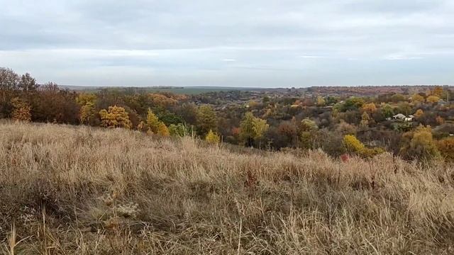 FlashCross D12N, 16.10.2021 смотреть онлайн