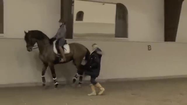 Rasmussen P och Elin Björndahl смотреть онлайн