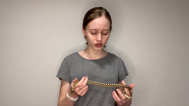 What to Expect when Brummating your snake смотреть онлайн
