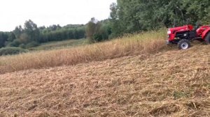 КАК ЛЕГКО РАЗРАБОТАТЬ ЗАРОСШИЙ УЧАСТОК  ч.1