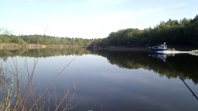 Рыбинспекция смотреть онлайн