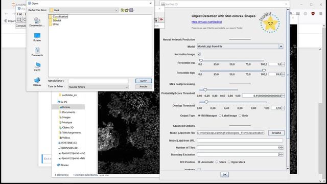 Deep learning for biologists - Nuclei segmentation - Stardist processing (Python and Fiji) смотреть онлайн