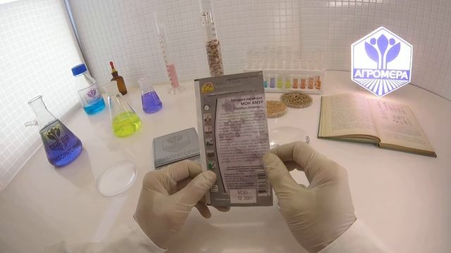 Гвоздика Китайска Мон Амур.  Ваше Хозяйство