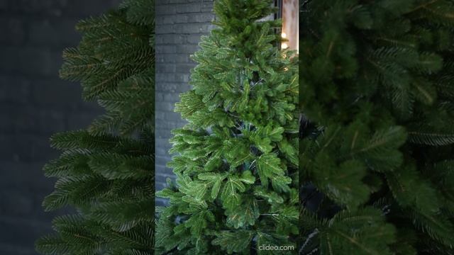 ель кремлевская elkinova смотреть онлайн