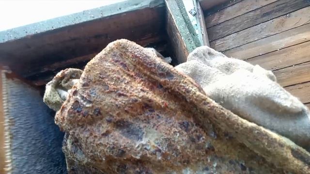 пчеловодство. ревизия пчел смотреть онлайн