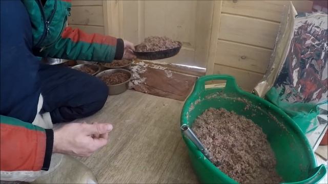Сколько съедает Тибетский Мастиф смотреть онлайн