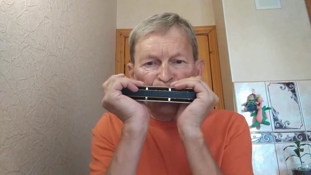 Не хотел умирать - Юрий Барабаш (Петлюра) - Chromatic Harmonica By M. Hohner смотреть онлайн