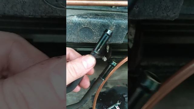 Теплый Поиск