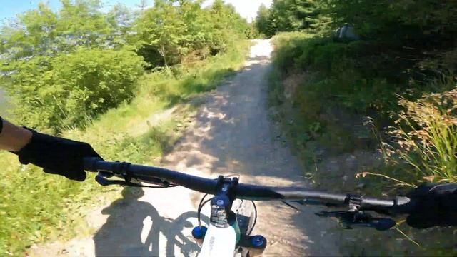 Bikepark Willingen Freeride Chicken Lane | Root Miller | GoPro 9