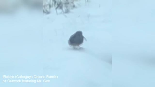 240. HFM COUB BEST CUBE Coub Приколы 2024 entertainment show, video collection from all over the wor смотреть онлайн