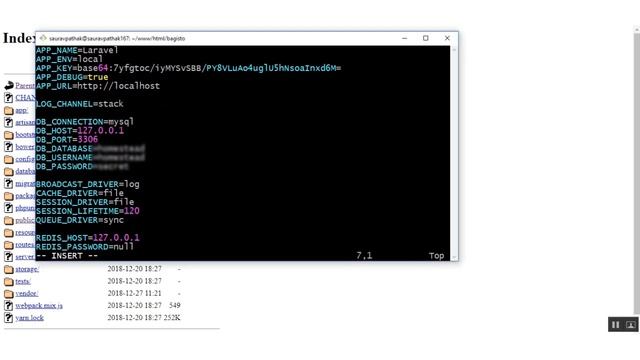 How To Install Bagisto Using Composer? - Laravel eCommerce смотреть онлайн