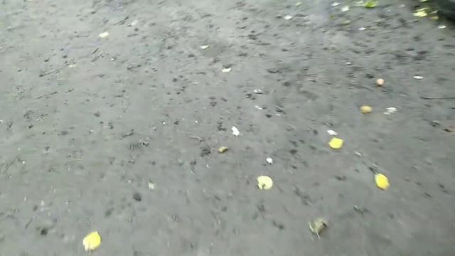 Скільки мотогодин відпрацьовує трактор Т-25 у мене за рік смотреть онлайн